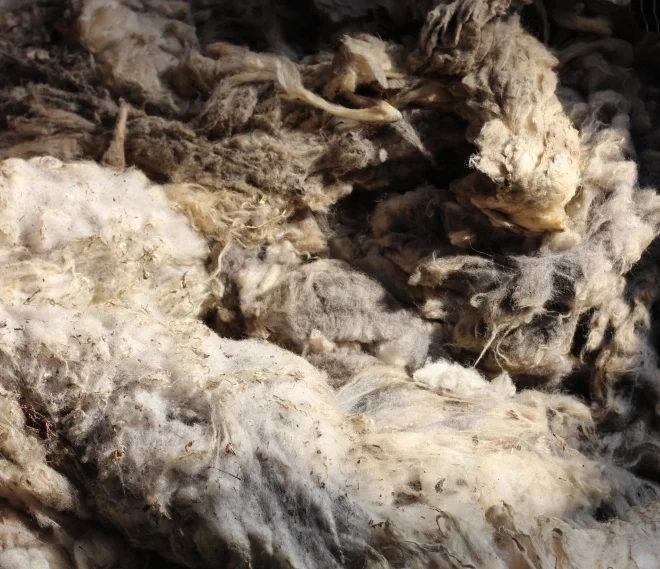 sorteren wol